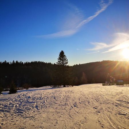 Chalet A L'Oree Du Bois Le Tholy Kültér fotó