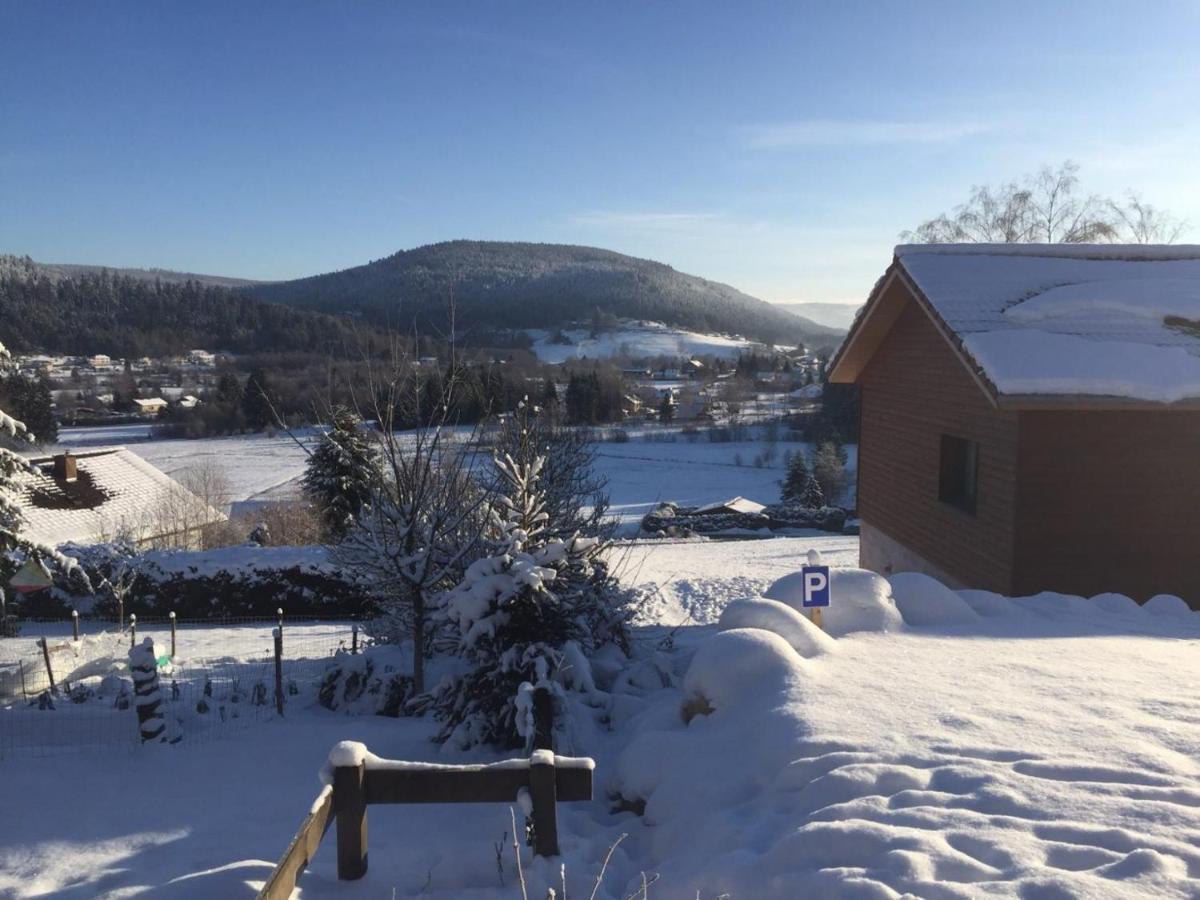 Chalet A L'Oree Du Bois Villa Le Tholy Kültér fotó