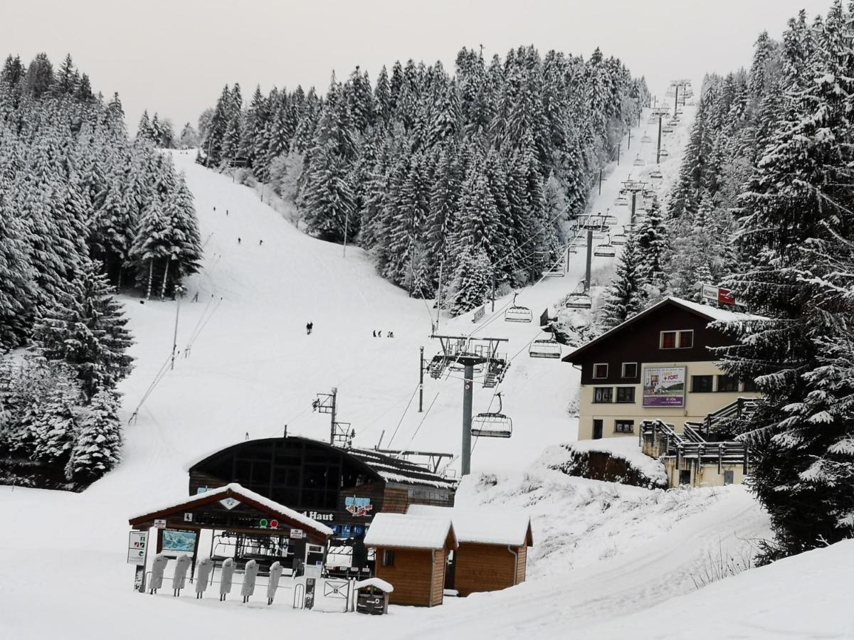 Chalet A L'Oree Du Bois Villa Le Tholy Kültér fotó