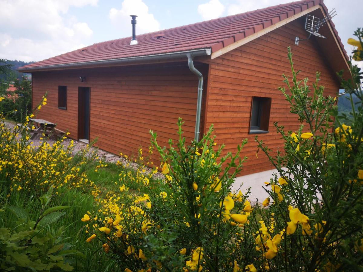 Chalet A L'Oree Du Bois Villa Le Tholy Kültér fotó