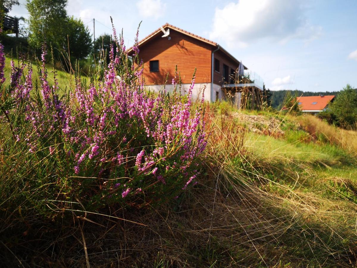 Chalet A L'Oree Du Bois Le Tholy Kültér fotó