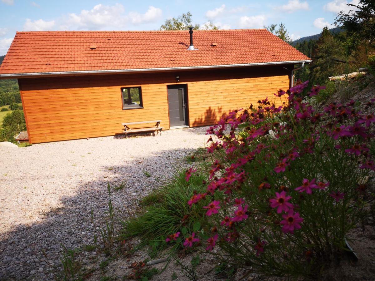 Chalet A L'Oree Du Bois Villa Le Tholy Kültér fotó