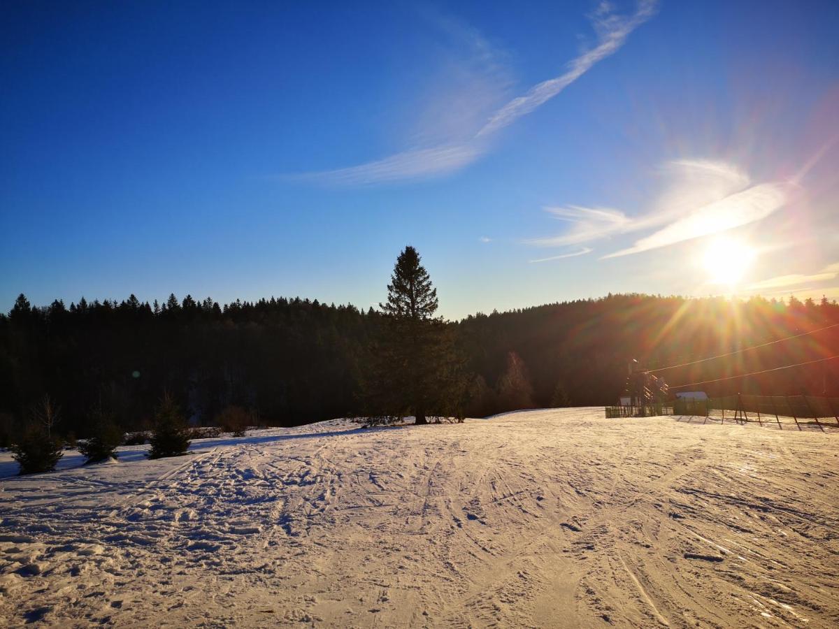 Chalet A L'Oree Du Bois Le Tholy Kültér fotó